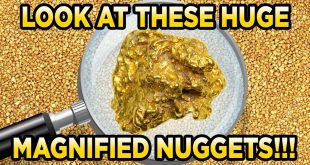 BigNuggetPaydirt.com 5lb Bag Gold Paydirt Review #223