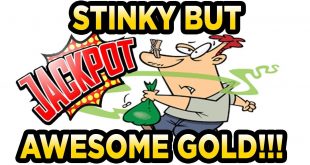 Amazed6 (eBay) 4lb Bag