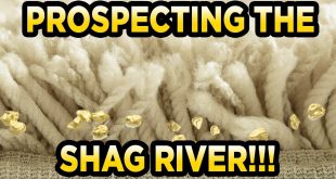 Home Prospecting - My Carpet Tailings