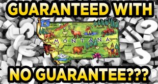 Montana-Prospector (eBay) 8oz 1gram Nugget Bag