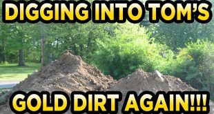 TomsGoldDirt.com 1lb Bag 2