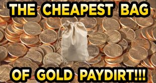 1stuner510 (eBay) 1oz Bag Gold Paydirt Review #204