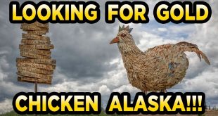 ChickenMiner.com 5lb 1Gram Bag