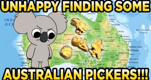 DetectADen.com.au 1kg Bag Gold Paydirt Review #256