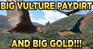 LynchMining.com Unclassified Vulture Bucket Gold Paydirt Review #215