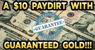 Purpled54 (eBay) 4oz Bag Gold Paydirt Review #205