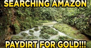 World Trinkets (Amazon) 10th Gram Bag Gold Paydirt Review #251