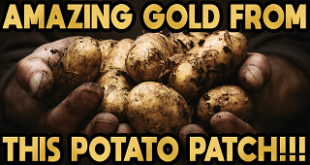 FirstCreekTreasures.com $200 Potato Patch Bag Gold Paydirt Review #297