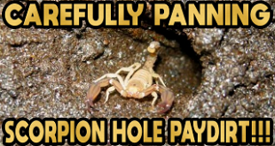 BillsDirt.com 1g Copper State Bag Gold Paydirt Review #302
