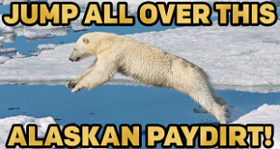 BlueTundraGold.com 1lb Alaskan Bag Gold Paydirt Review #311