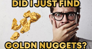 GoldNPaydirt.com Flawless Premium Nugget Bag Gold Paydirt Review #321