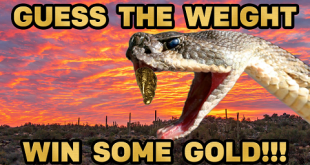 Gold Guessing Contest for May 2025