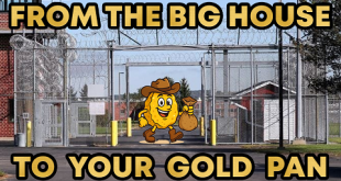 Bobby Nugget a Brand Since 1976 Gold Paydirt Review #348