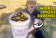 How Much GOLD In a Million Dollar Bucket of Paydirt?